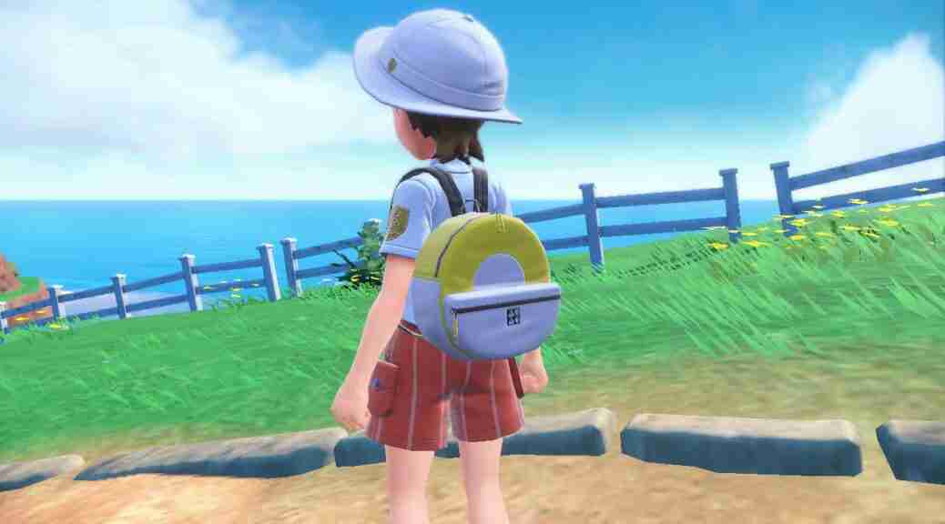 Ultra Ball Canvas Backpack Reward