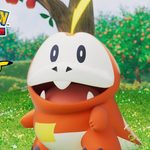 Pokemon Pocket Duel Type Cards?